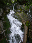 Dr. Vogelgesang-Klamm